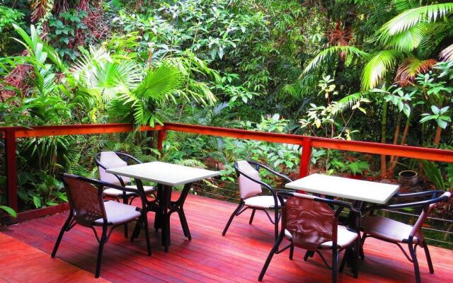 Daintree Rainforest Retreat