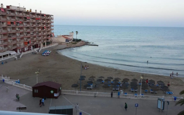 Palmeral de Torrevieja