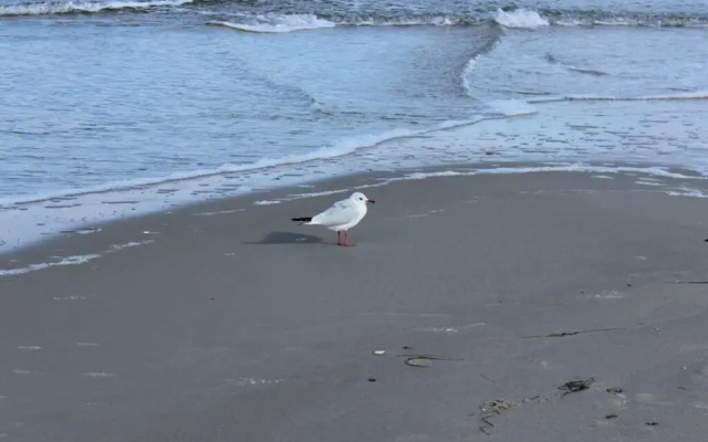 Ostseebrandung - Haus Seestern