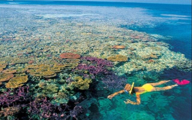Mediterranean Resorts