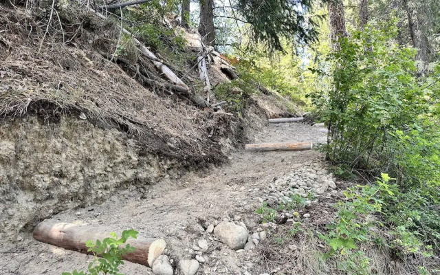 River Song Cabin 3 Bedroom Home