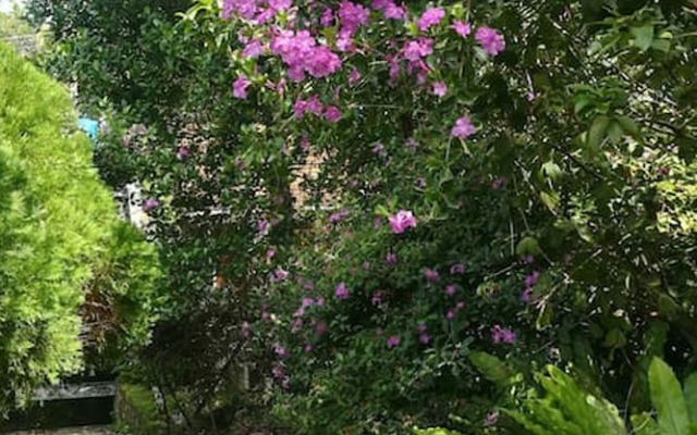 HikkaJayaSri Villa Peacock