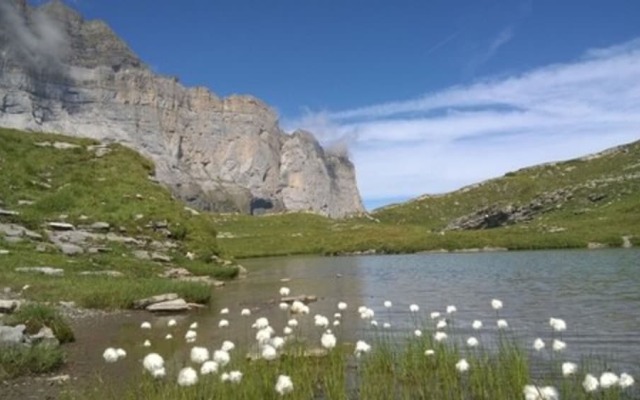 Gite Auberge de Salvagny