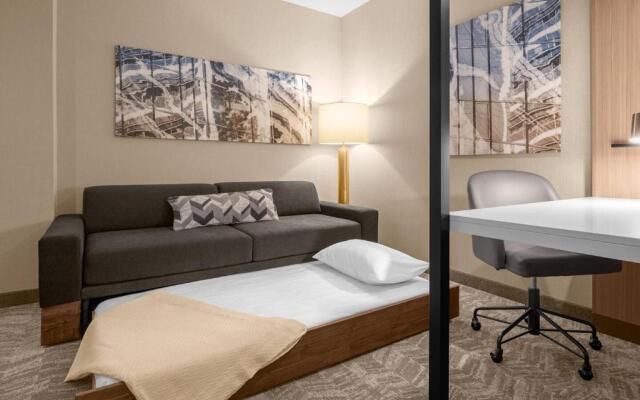 SpringHill Suites by Marriott Jackson