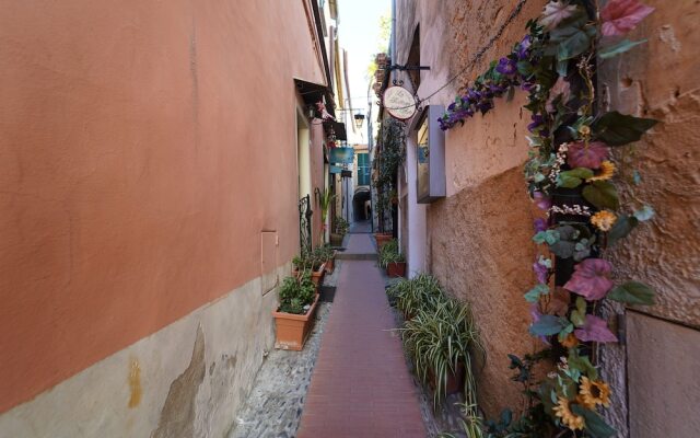 Le Notti Mediterranee