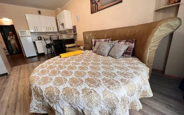 Апартаменты Вояж на улице 50 лет ВЛКСМ, д. 19