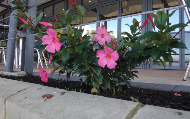 Mandurah Quay Resort
