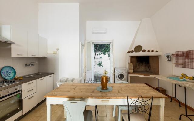 3821 VBR - Mono Rosa by Barbarhouse