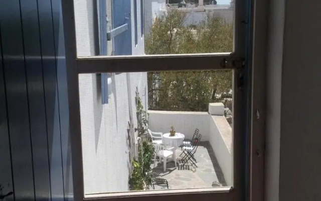 The large bougainvillea house