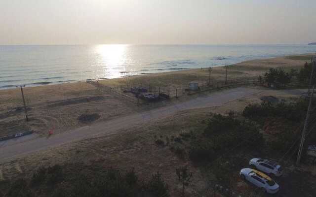 Surf Shack