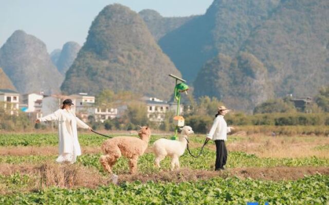 Yueshan Yushui Holiday Homestay (Yangshuo Yulonghe Tourism Resort Xiayu Wharf Branch)