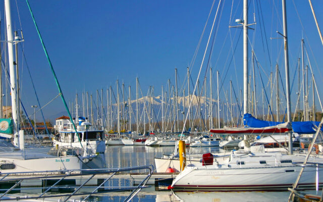 Les Cypriennes