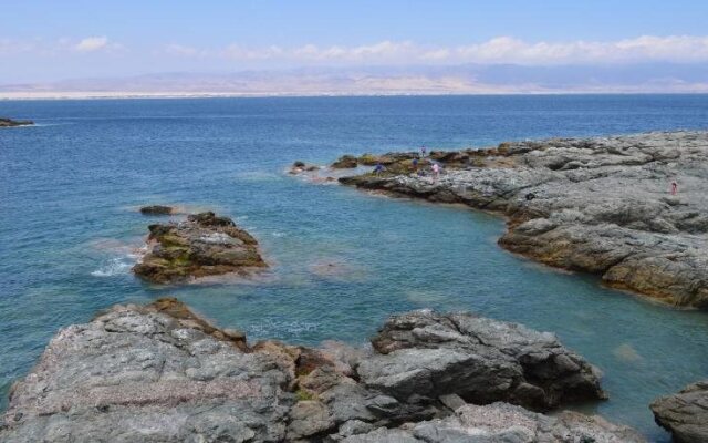 Los Salares