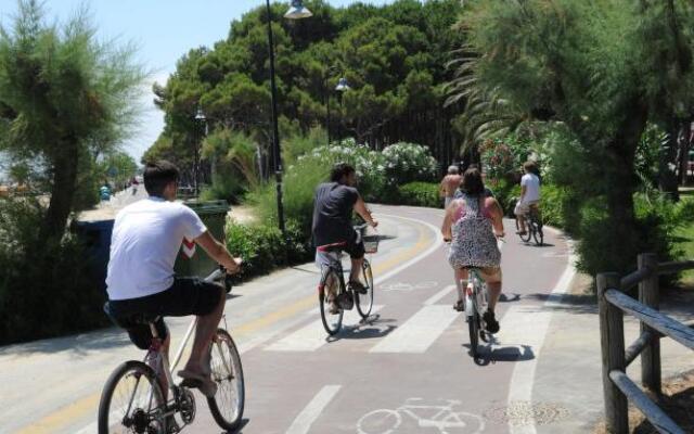 Camping  Village Eucaliptus