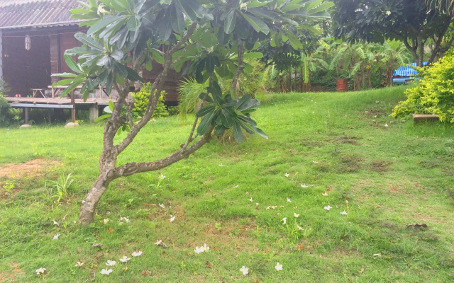 Tony Guesthouse