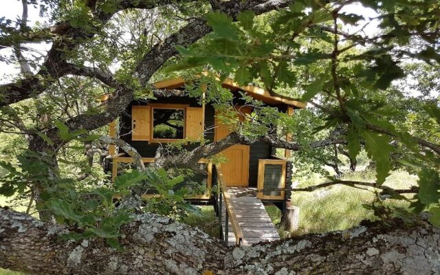 LES TRUFFIERS Cabane