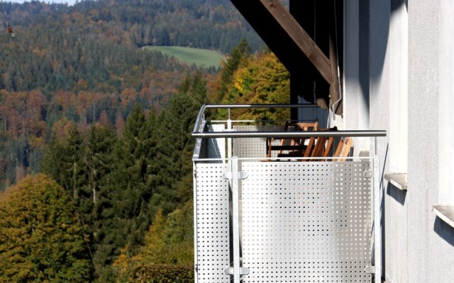 Cozy Farmhouse in Herrischried with Meadows Nearby