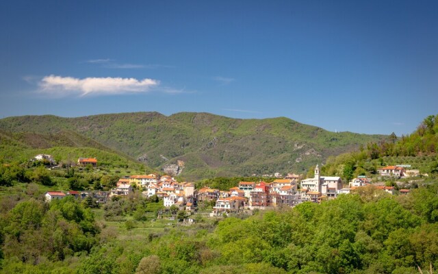 House Of Olive Trees, Relaxation And Wi-fi