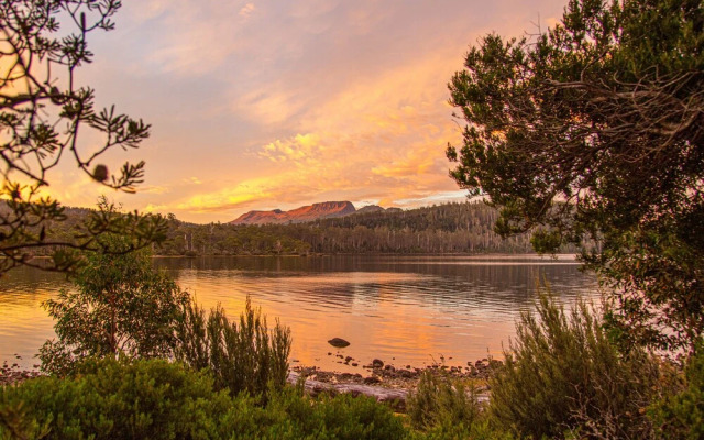 Lake St Clair Lodge