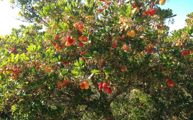 Apartamentos Rurales En Plena Sierra