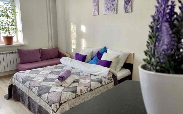 Апартаменты на улице 50 лет ВЛКСМ 13