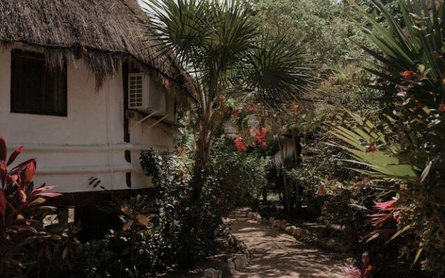 Blue Holbox Beach Front