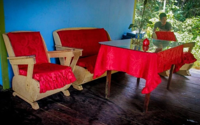 Ecological Jungle Trips & Amazon Lodge
