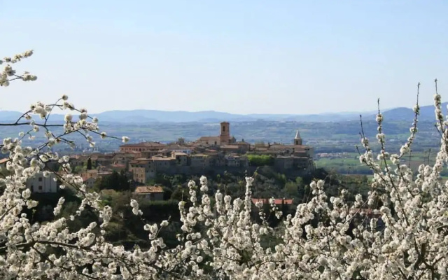 La Piazzetta