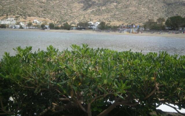 Gorgona