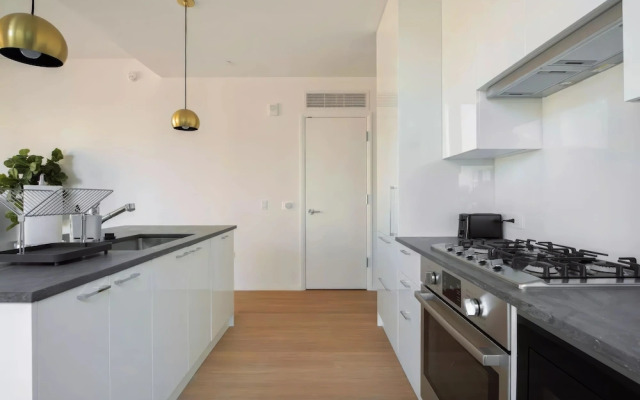 BLACK SWAN - Liz DC - Executive Flat