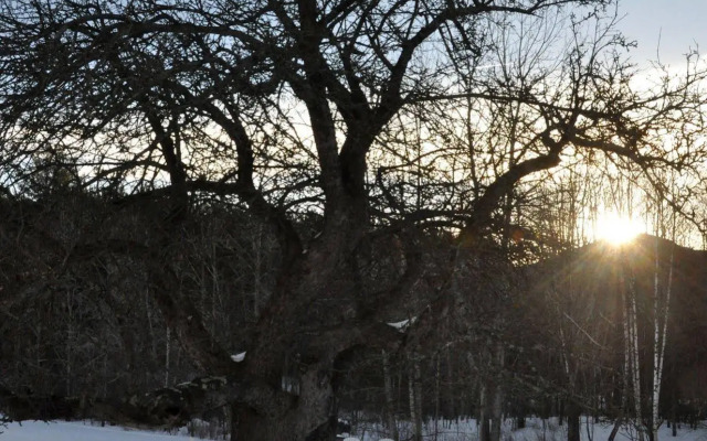 Red Clover Inn and Restaurant