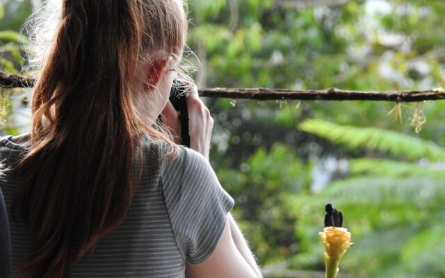 Biohostal Mindo Cloud Forest