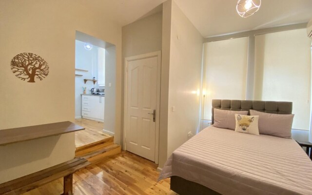Comfortable Studio Flat in Beyoglu