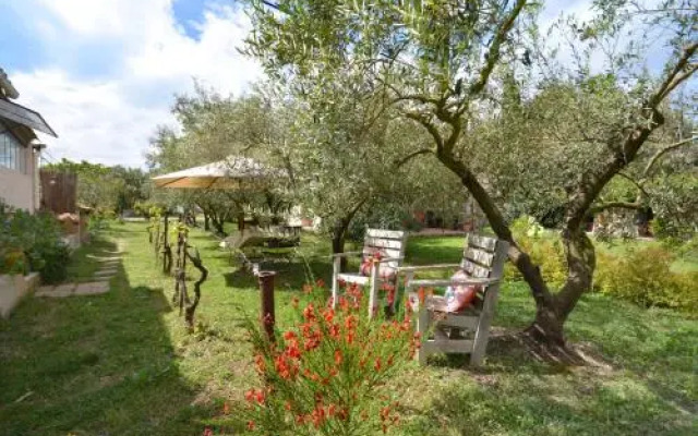Le Cabanon de l'olivette