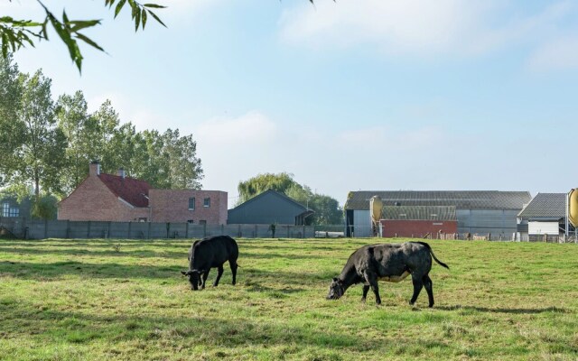 Rural Villa, 4 Kilometres From the Beach