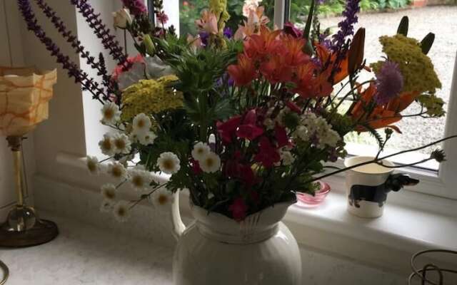 Red Setter Town House B&B