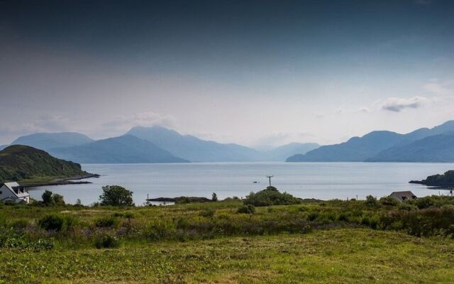 Thistles on Skye