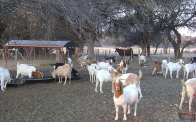 Kalahari Farmstall