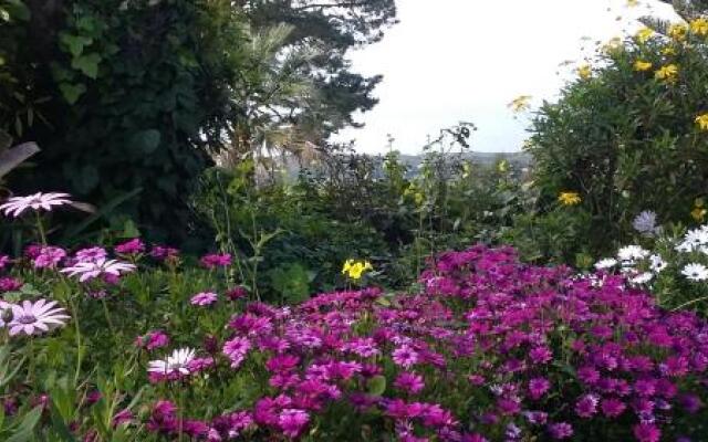 quinta Colina flora