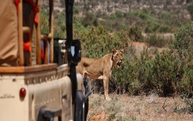 Saruni Samburu