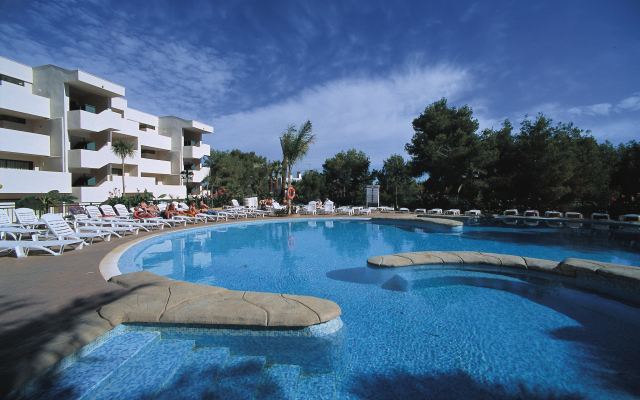 Festival Village Apartments