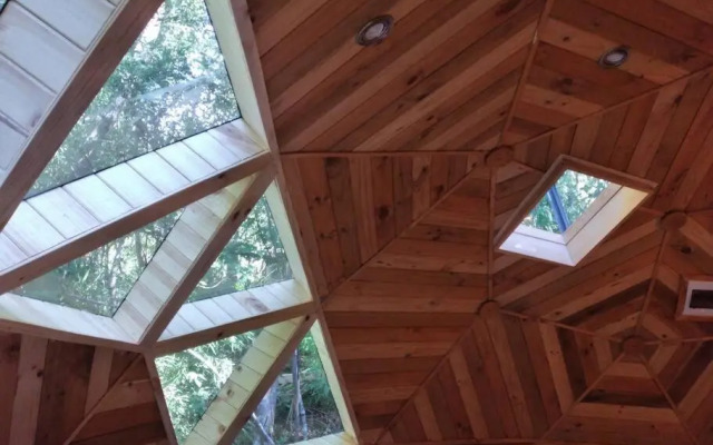 Domo Bosque Nativo Villarrica comuna