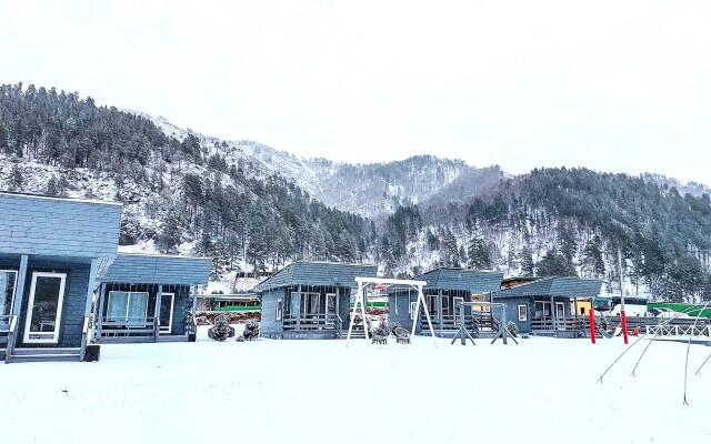 Алтай Лотос