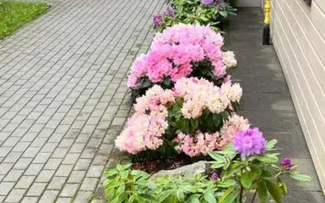 Apartamentai Palangos Centre