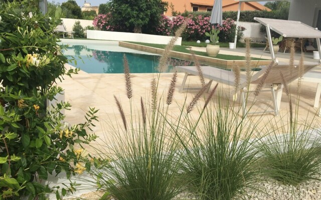 B&B Zagara