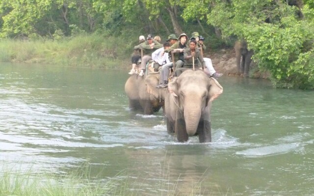 Nature Safari Resort