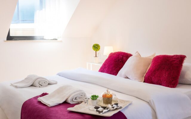 Bright and Cozy Duplex Near City Center