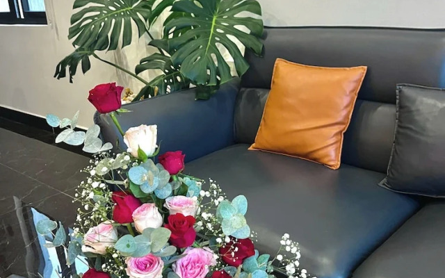 Amelia House - Boutique Hotel