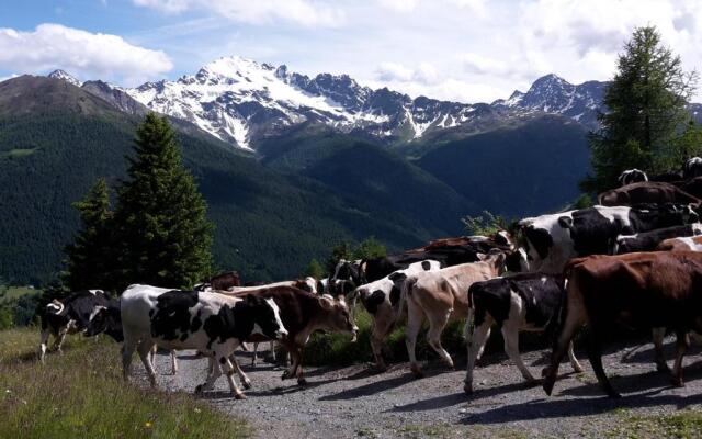 Agriturismo Raethia