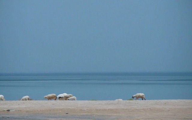 Al Basateen Hotel Apartment